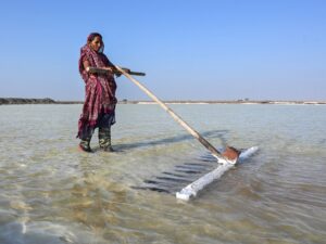 India’s salt workers brave brutal heat on Gujarat’s desert plains