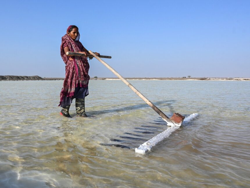 India’s salt workers brave brutal heat on Gujarat’s desert plains