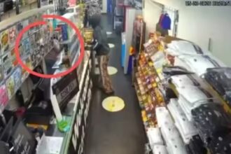 Gunman kills Gujarat woman working at store in US