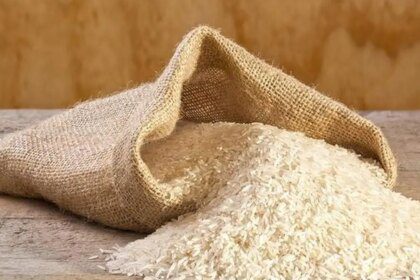IREF seeks to partner with APEDA in Basmati crop survey