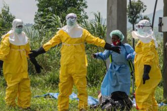 No Ebola cases reported in India yet; government ramps up surveillance after WHO alert