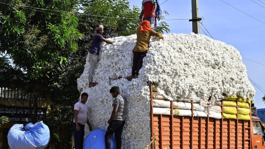 India may take middle path, unlikely to remove import duty on cotton