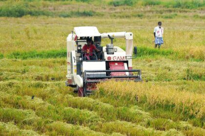 India’s area under summer crops up 3%, but paddy and moong acreage dips