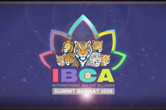 India exhorts big cat range countries to join treaty-based global Alliance ahead of its first Summit in Delhi