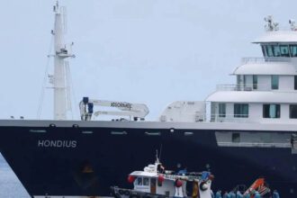 ‘Healthy and asymptomatic’: Indian Embassy says crew members evacuated from hantavirus-hit MV Hondius are safe