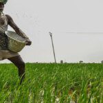 After Indian PM’s appeal to cut fertilizer use, Govt says it has ample stocks