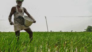 After Indian PM’s appeal to cut fertilizer use, Govt says it has ample stocks