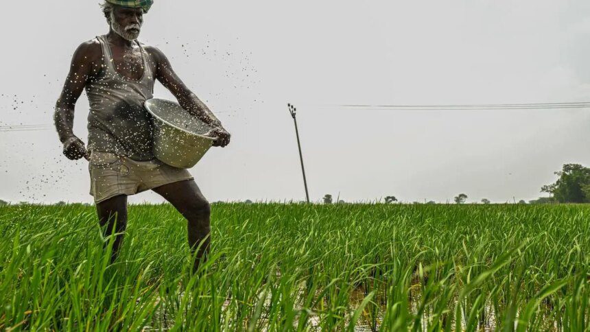 After Indian PM’s appeal to cut fertilizer use, Govt says it has ample stocks