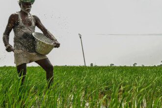 Indian government hikes minimum support prices for kharif crops; raises paddy rate by 3%