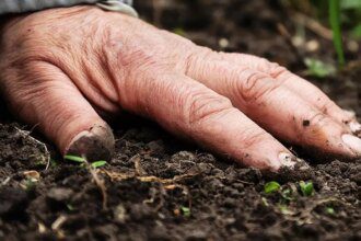 Indian govt to launch soil health awareness campaign for a fortnight from June 1