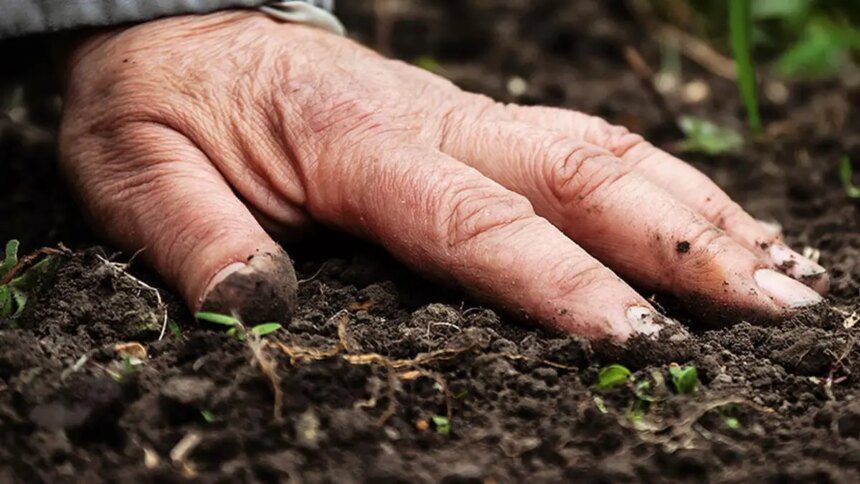 Indian govt to launch soil health awareness campaign for a fortnight from June 1