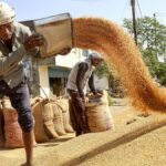 India wheat procurement tops 30-million tonne mark, heading towards target of 34.5 mt