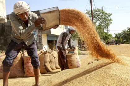 India wheat procurement tops 30-million tonne mark, heading towards target of 34.5 mt