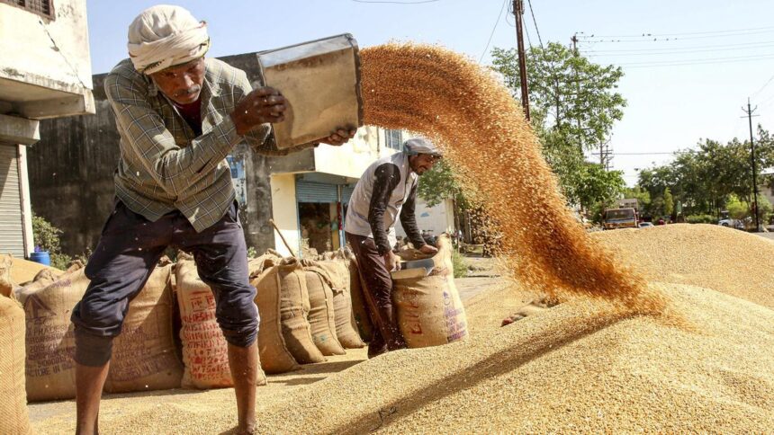 India wheat procurement tops 30-million tonne mark, heading towards target of 34.5 mt