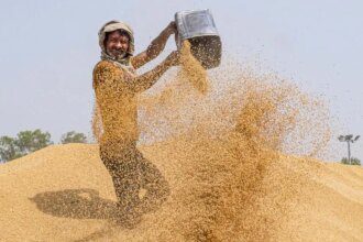 India’s official wheat procurement near target, up 13% from a year ago