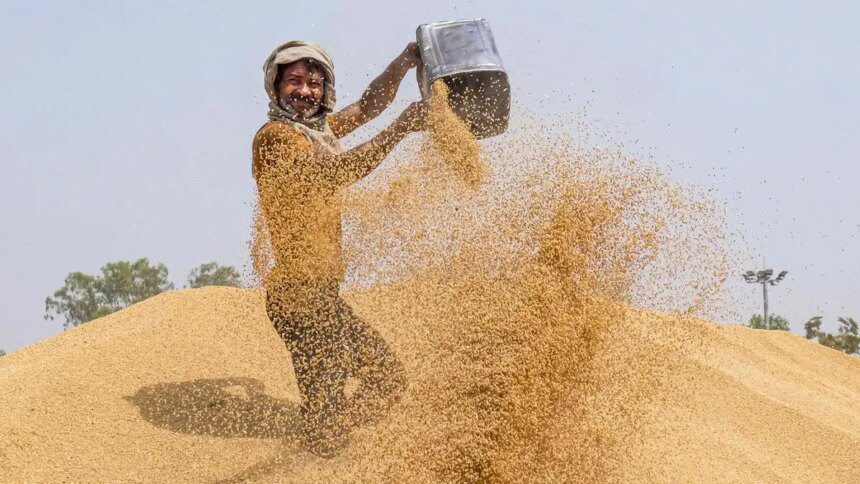 India’s official wheat procurement near target, up 13% from a year ago