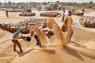 Indian wheat purchase gathers pace as M.P. mops up 2.5 million tonnes