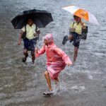 NCDEX pilots derivative based on Mumbai monsoon