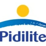 Pidilite Industries shares surge 3.5% on strong Q4 earnings
