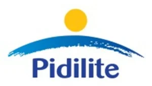 Pidilite Industries shares surge 3.5% on strong Q4 earnings