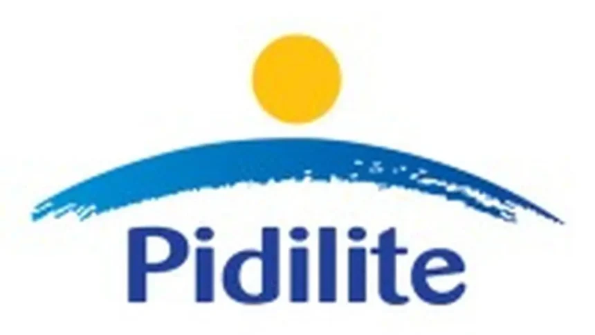Pidilite Industries shares surge 3.5% on strong Q4 earnings