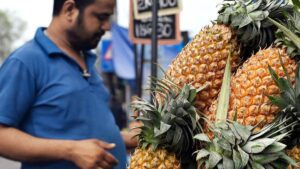 Labour shortage, price crash prompt pineapple growers to suggest pause on new crop