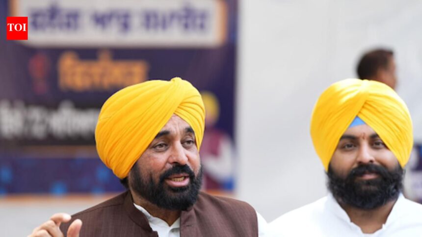 Not even single genuine vote to be allowed to be deleted under SIR: Punjab CM