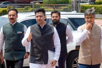 'I am their next target': Raghav Chadha alleges 'vendetta politics' by AAP-led Punjab govt; meets President Murmu