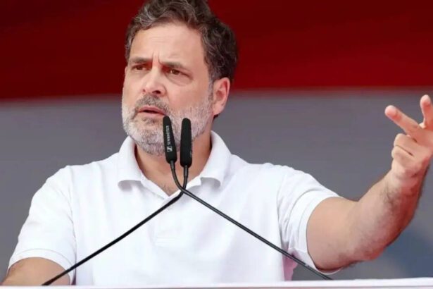 West Bengal election results: Cracks in oppn? Rahul sends message to leaders 'gloating' about TMC's loss