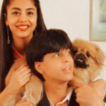 When Shah Rukh Khan dug up his pet dog's grave at 2 AM, here's what happened