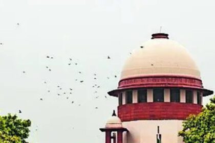 SC: Child's right to know father outweighs privacy