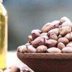 Higher global prices, tighter imports to boost India’s oilseed production: SEA
