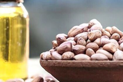 Higher global prices, tighter imports to boost India’s oilseed production: SEA