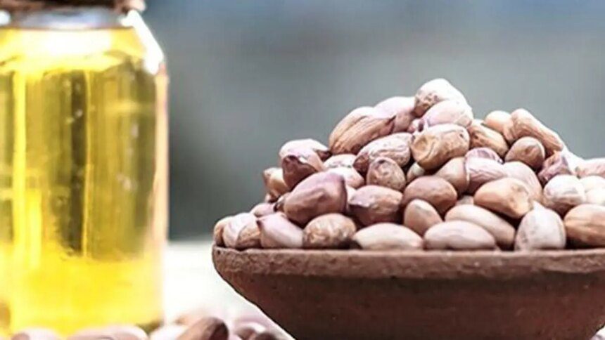 Higher global prices, tighter imports to boost India’s oilseed production: SEA