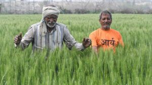 Agri land, factories in Tanzania offer new avenues for Haryana farmers, entrepreneurs