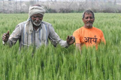 Agri land, factories in Tanzania offer new avenues for Haryana farmers, entrepreneurs
