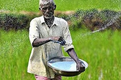 Panic buying pushes urea and DAP sales to record levels in Maharashtra, Punjab, Haryana and Karnataka