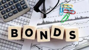 Bond inflows hit one-year high after rupee support steps