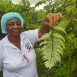 How Colombia’s traditional midwives serve as lifelines to rural communities