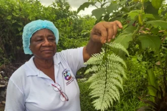 How Colombia’s traditional midwives serve as lifelines to rural communities