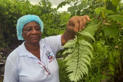 How Colombia’s traditional midwives serve as lifelines to rural communities