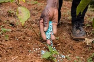 Government cuts Kharif fertiliser demand estimate on weak monsoon outlook