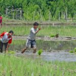 Government braces for a tough sowing season ahead