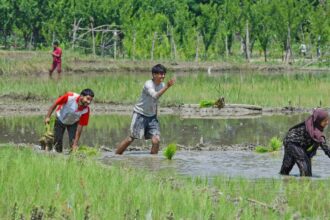Government braces for a tough sowing season ahead