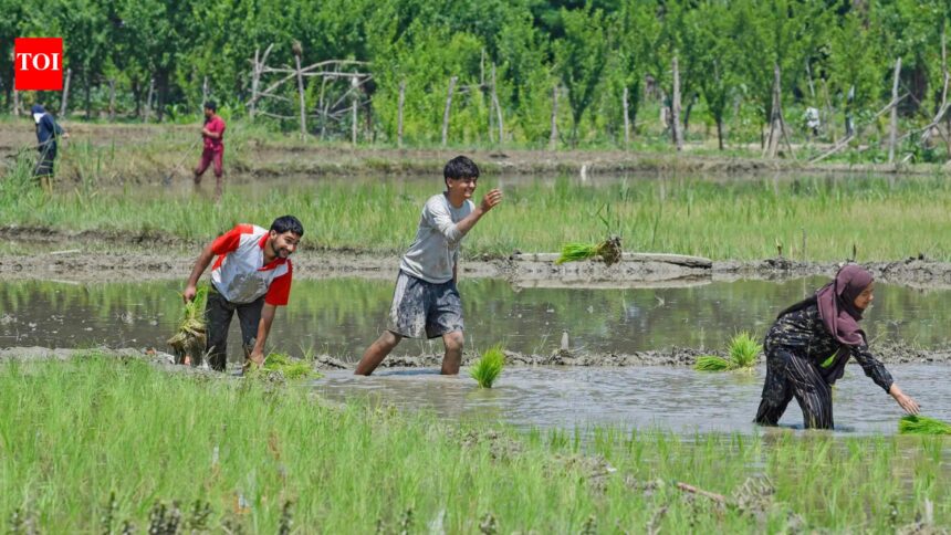 Government braces for a tough sowing season ahead
