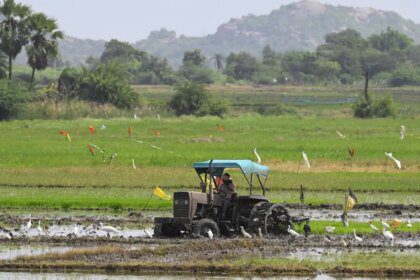 India cuts foodgrains output target amid below normal monsoon forecast