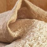 Centre initiates review of India’s approved basmati varieties
