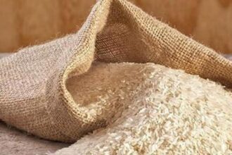 Centre initiates review of India’s approved basmati varieties