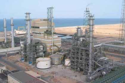 Fertiliser company OMIFCO plans to sell 25% stake in Oman IPO