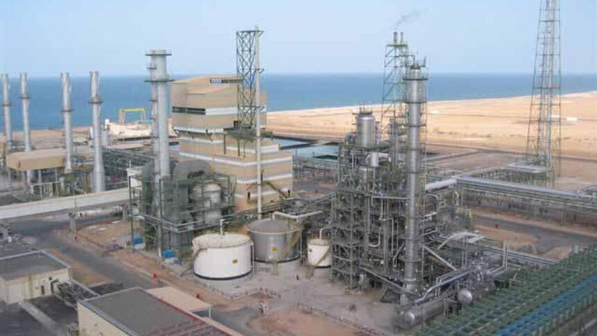 Fertiliser company OMIFCO plans to sell 25% stake in Oman IPO